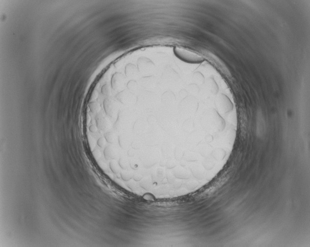 X0000069391044200606021627