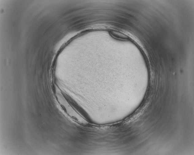 X0000069391045200606021627