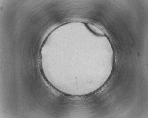 X0000069391048200606021627