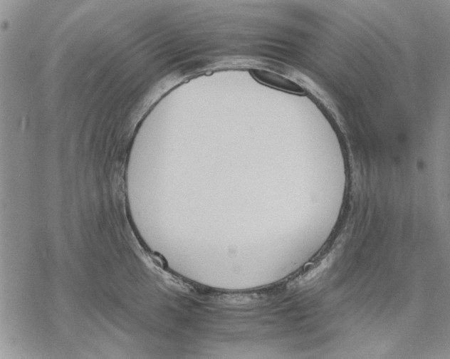 X0000069391049200606021627