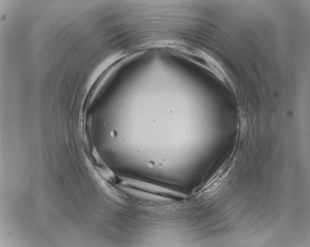 X0000069391050200606021627