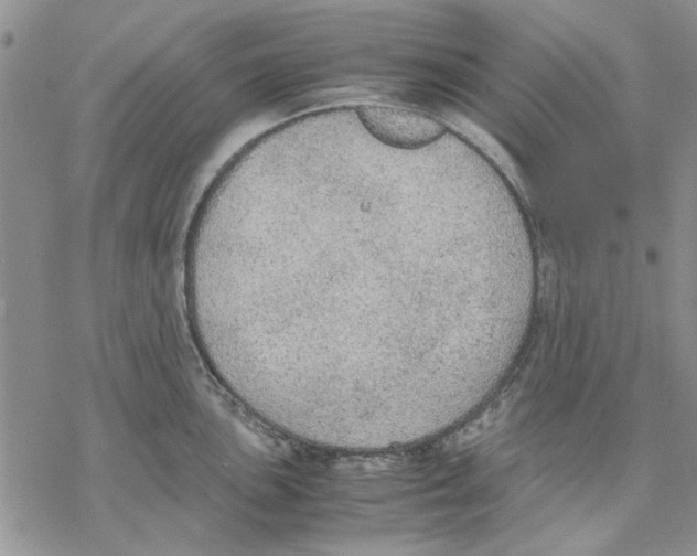 X0000069391051200606021627