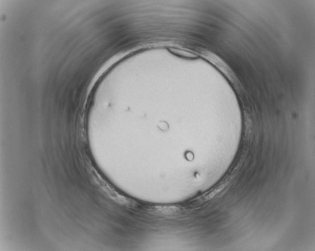 X0000069391052200606021627