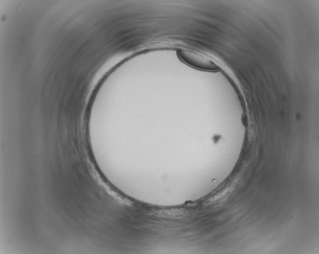 X0000069391053200606021627