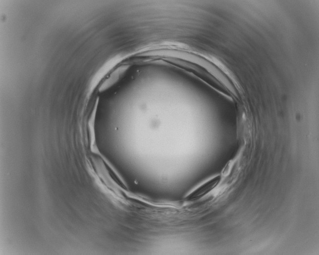 X0000069391054200606021627