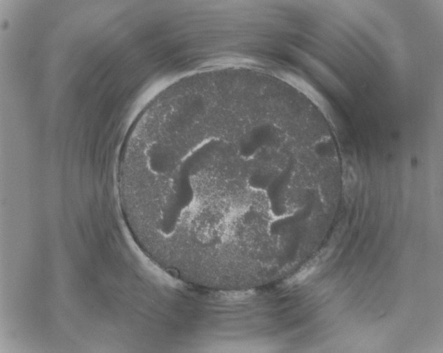 X0000069391055200606021627