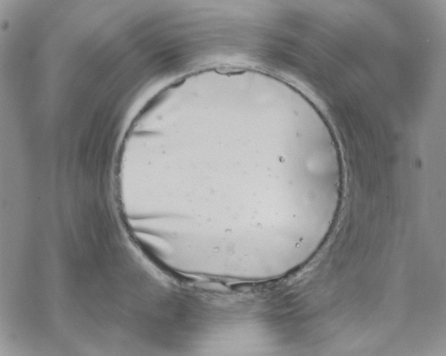 X0000069391056200606021627