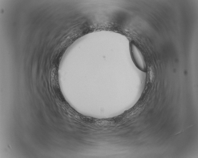 X0000069391059200606021626