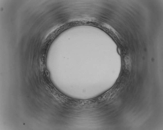 X0000069391064200606021626