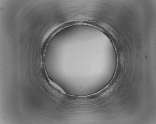 X0000069391069200606021626