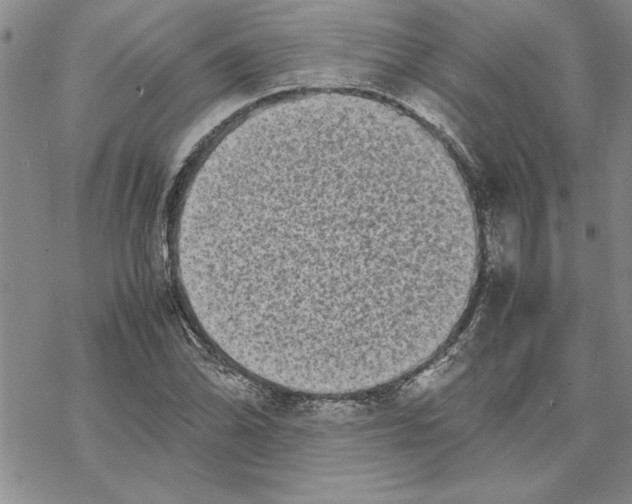 X0000069391070200606021626