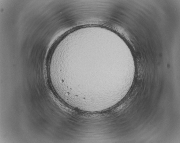 X0000069391072200606021626