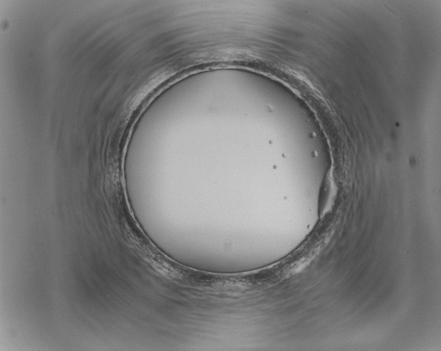 X0000069391073200606021626