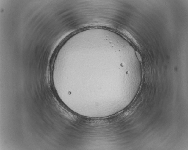 X0000069391076200606021626