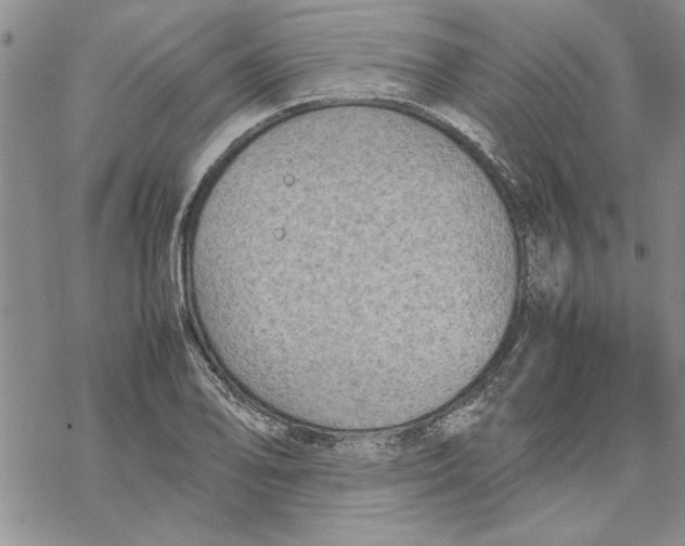 X0000069391078200606021626