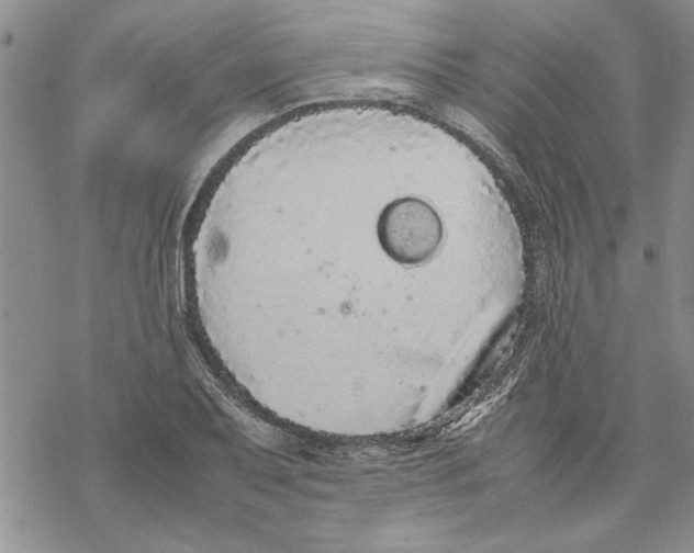 X0000069391079200606021626