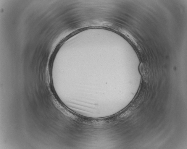 X0000069391080200606021626