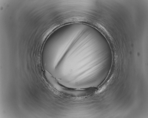 X0000069391081200606021626