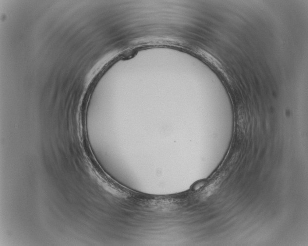 X0000069391082200606021626