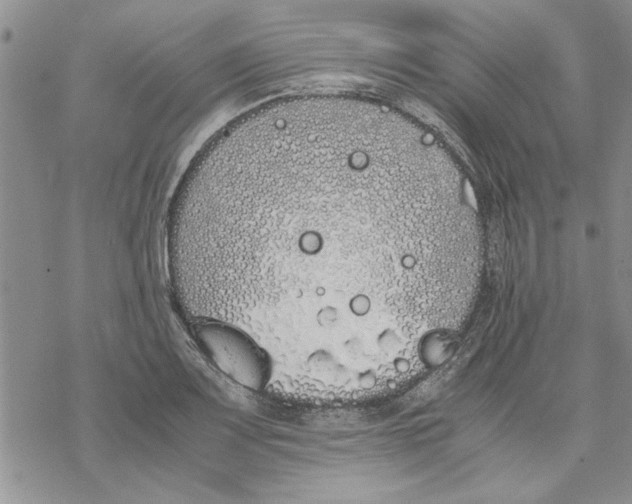 X0000069391083200606021626