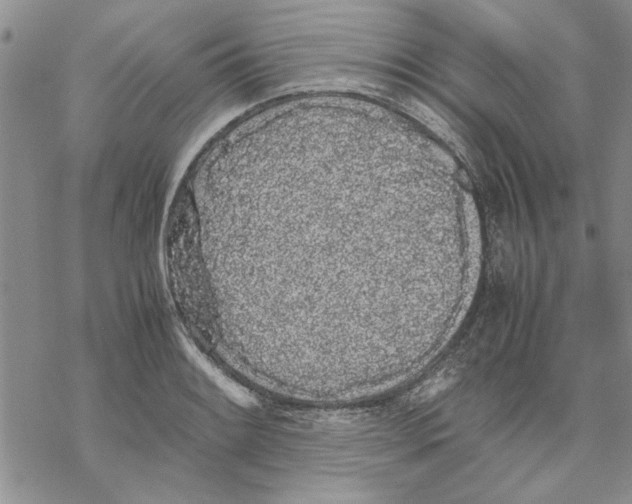 X0000069391084200606021626