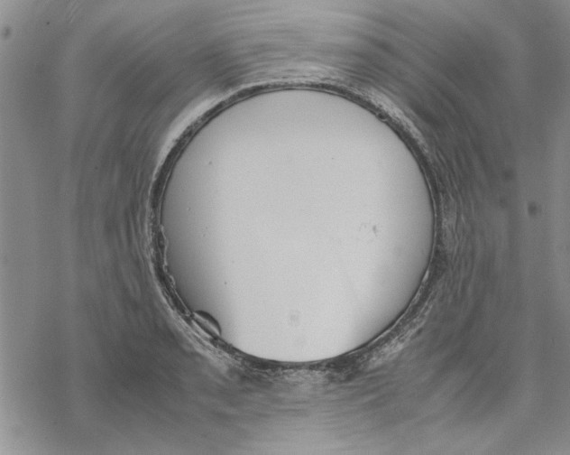 X0000069391085200606021626