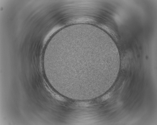 X0000069391086200606021626