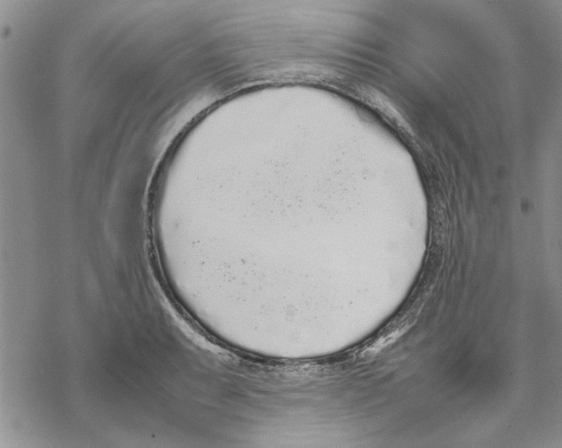 X0000069391087200606021626