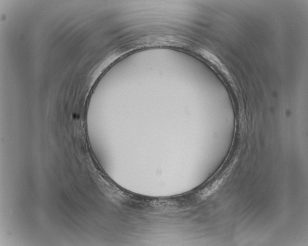 X0000069391089200606021626