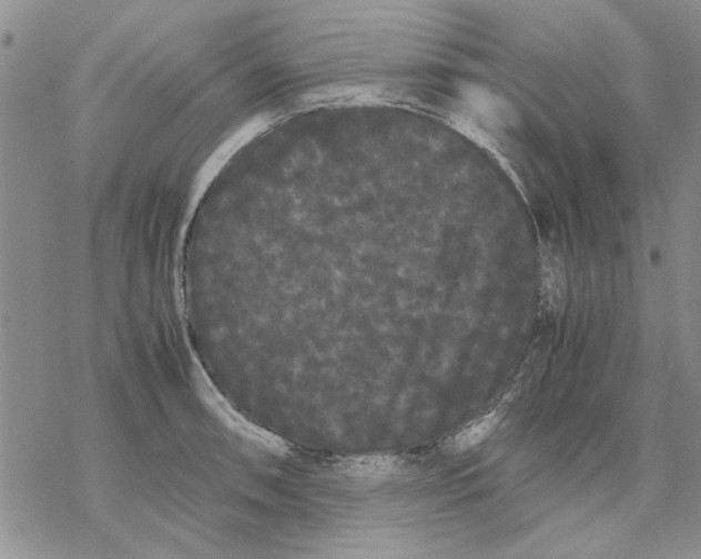 X0000069391090200606021626