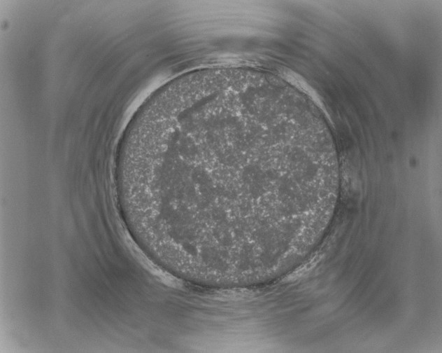 X0000069391091200606021626