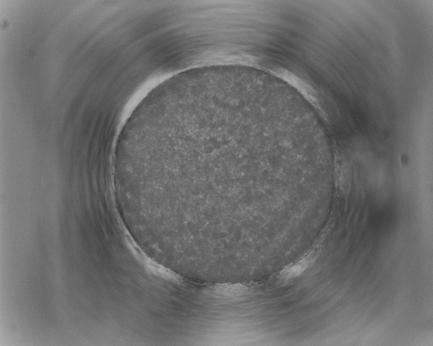 X0000069391094200606021626