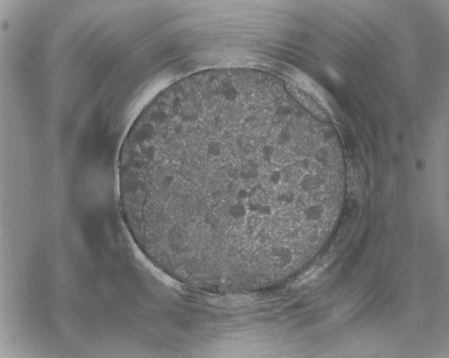 X0000069391095200606021626