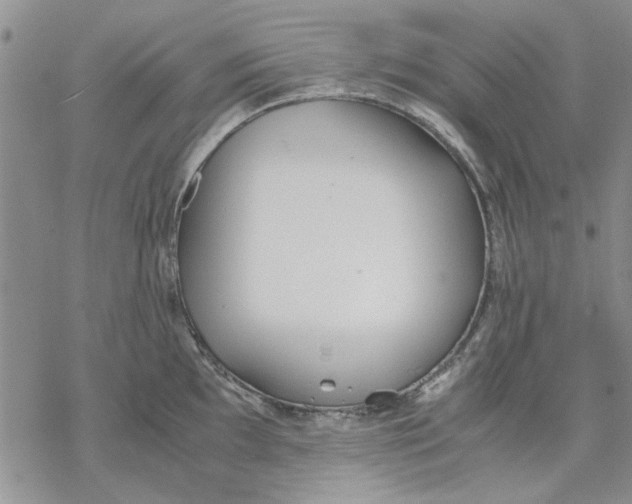 X0000069391097200606021625