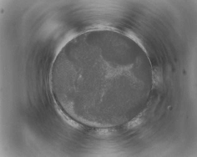 X0000069391098200606021625