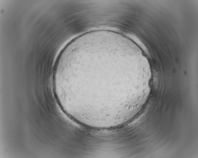 X0000069391100200606021625