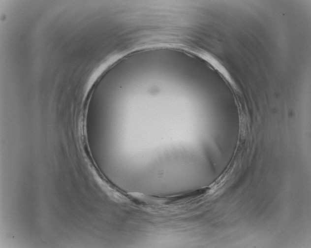 X0000069391101200606021625