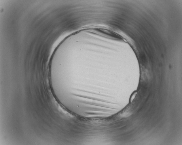 X0000069391102200606021625