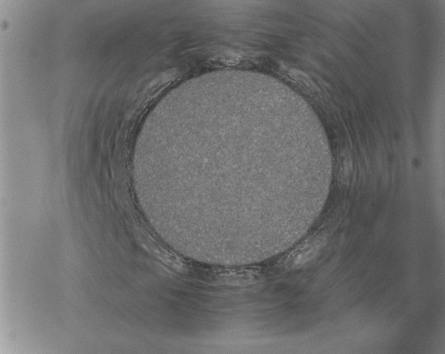 X0000069391105200606021625