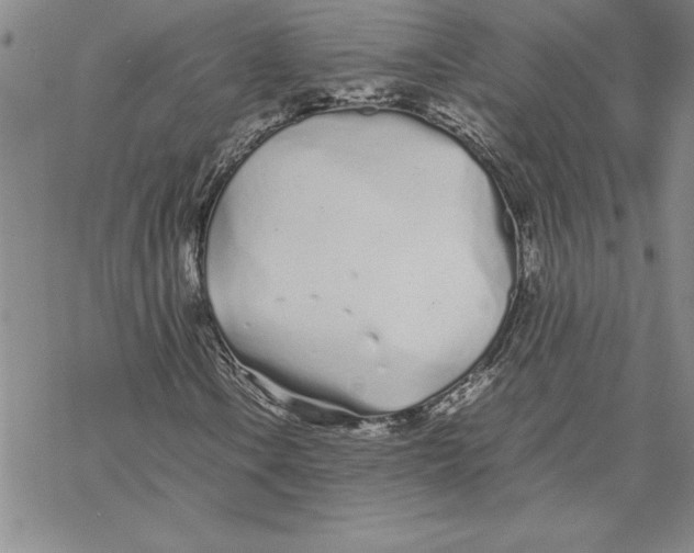 X0000069391106200606021625