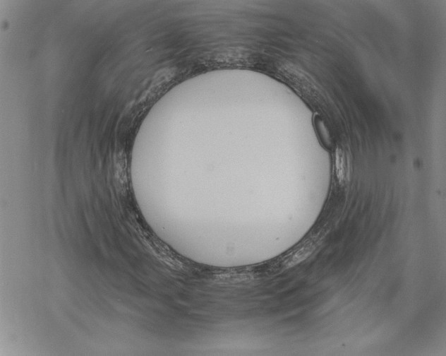 X0000069391107200606021625