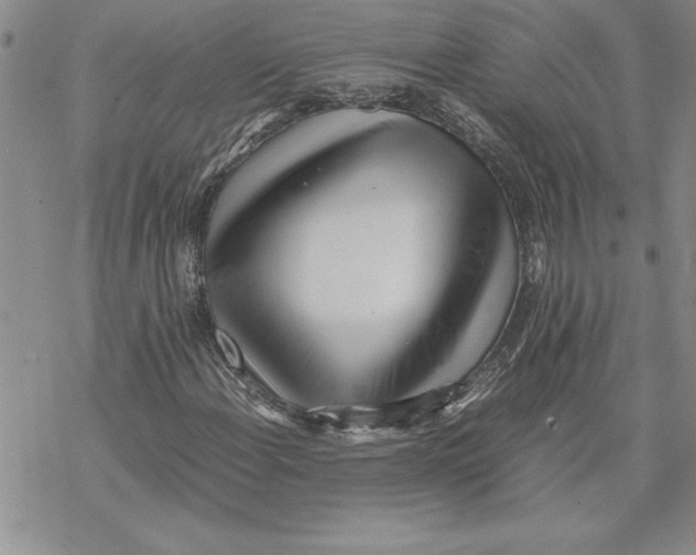 X0000069391108200606021625