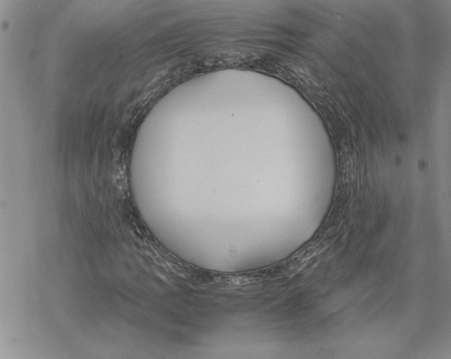 X0000069391109200606021625