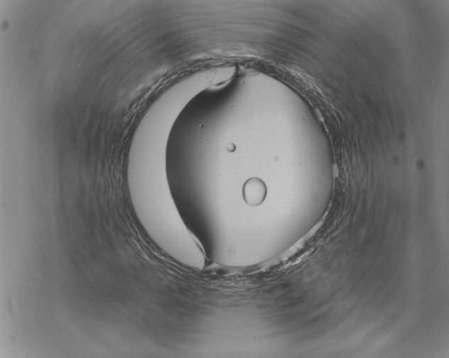 X0000069391110200606021625