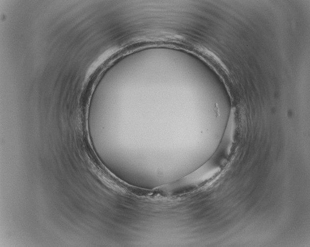 X0000069391114200606021625