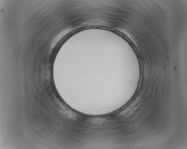 X0000069391115200606021625