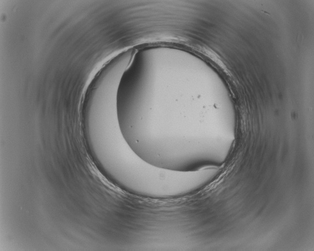 X0000069391116200606021625