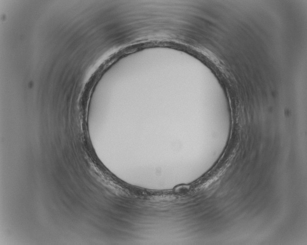 X0000069391118200606021625