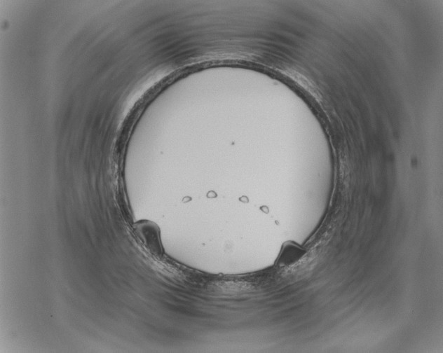 X0000069391119200606021625