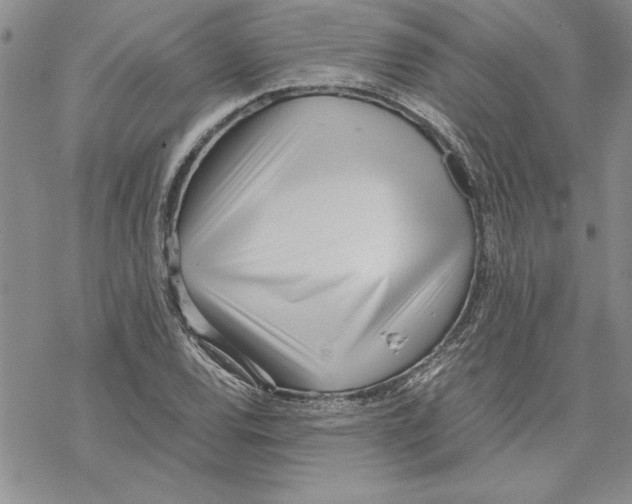 X0000069391120200606021625